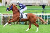 La photo de Air De Samba