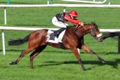 La photo de Seabiscuit Du Rheu