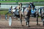 La photo de Kaiser Turgot