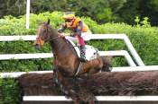 La photo de Balmoral 