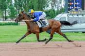La photo de I Love Elde arrivée pmu Prix du Donjon à Vichy