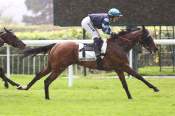 La photo de True Value arrivée pmu Prix Comtesse de Loire à Saint-Cloud