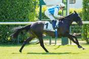 La photo de No Tune arrivée pmu Prix de Closeaux à Chantilly