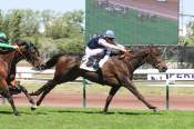 La photo de Breizh Moon