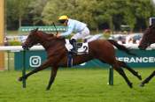 La photo de Clavus arrivée Quinté+ pmu Prix du Petit Pré à Longchamp