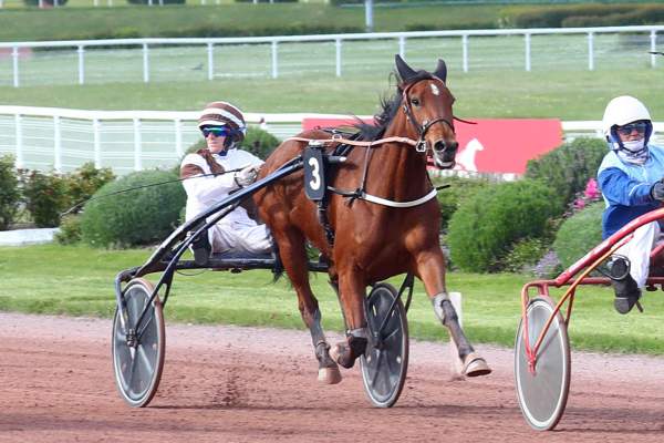 Photo de KATELINE DE BRY cheval de TROT ATTELE