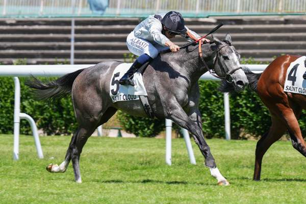 Photo de SELF CONTROL cheval de PLAT