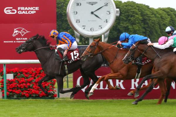 La photo de Camille Pissarro Arrivée Quinté+ Pmu Qatar Prix Du Jockey Club 2025 à CHANTILLY