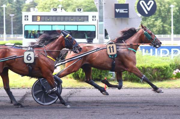 La photo de Maya Du Surf arrivée pmu Prix Diana à Vincennes