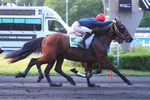 La photo de Milor De La Vallee arrivée pmu Prix Cygnus à Vincennes