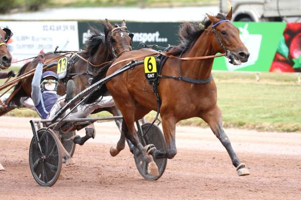 La photo de Jingle Du Pont Arrivée Quinté+ Pmu Grand National Du Trot à LAVAL