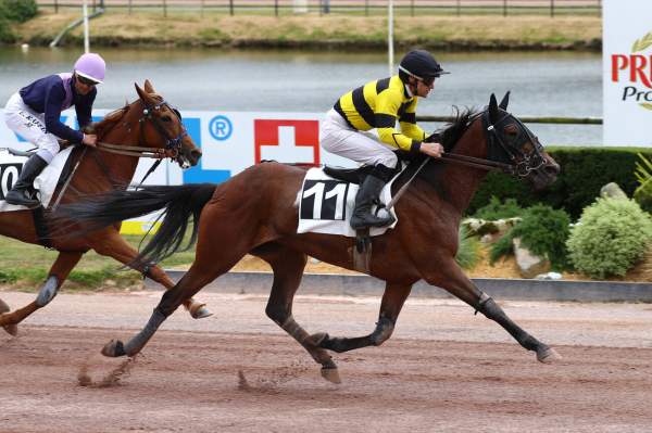 Photo de ISBA DU VIVIER cheval de TROT MONTE
