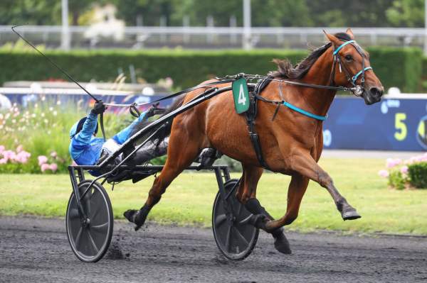 La photo de Liberte De Choisel Arrivée PMU Pick5 Prix Guy le Gonidec à Vincennes