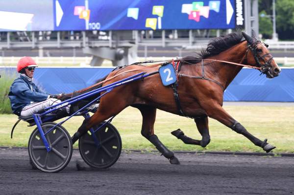 Photo de LANCIER DU GOUTIER cheval de TROT ATTELE