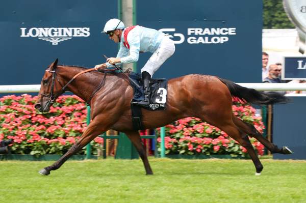 La photo de Bullace Arrivée Quinté+ Pmu Grand Handicap De Lamorlaye Longines à CHANTILLY