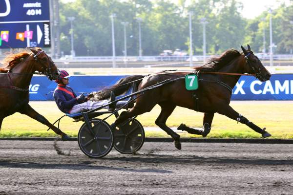 Photo de MILTON DU NOYER cheval de TROT ATTELE
