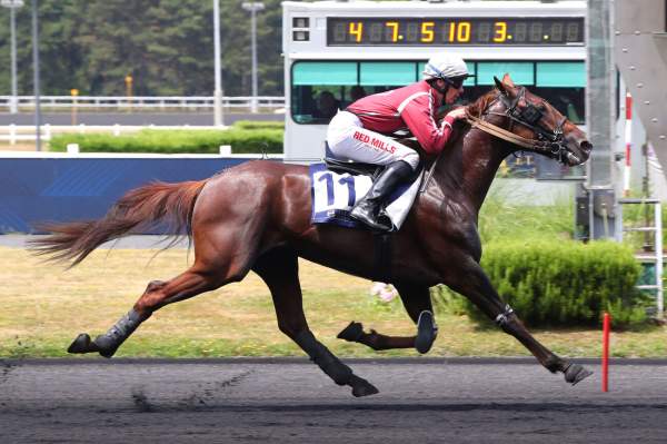 La photo de Meteore De Simm arrivée pmu Prix d'Essai (Gr.I) Etrier 3 ans Finale à Vincennes