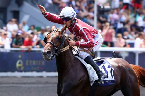 La photo de Meteore De Simm Arrivée PMU Prix d'Essai - Etrier 3 Ans Finale 2025 à Vincennes