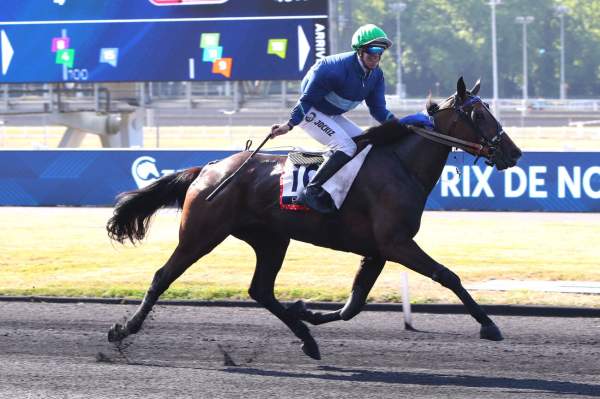 La photo de Katinka Aimef arrivée pmu Prix de Normandie (Gr.I) Étrier 5 ans Final à Vincennes