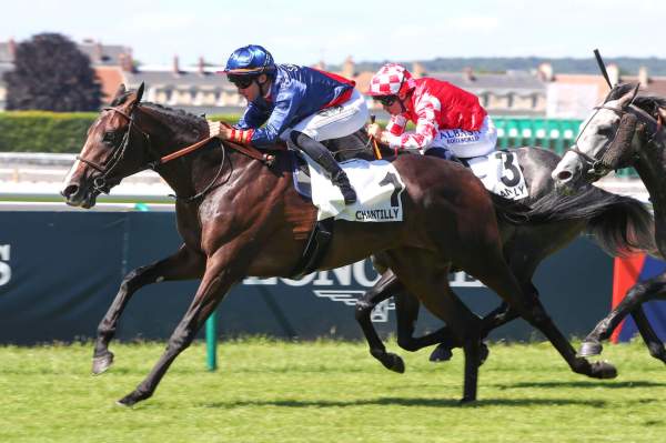 La photo de Think Giant 