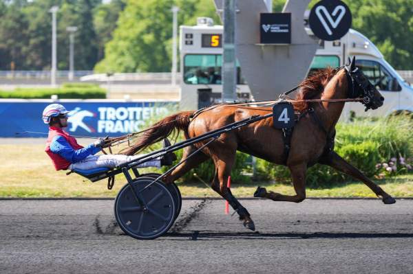 Photo de MAGIC TOUR cheval de TROT ATTELE
