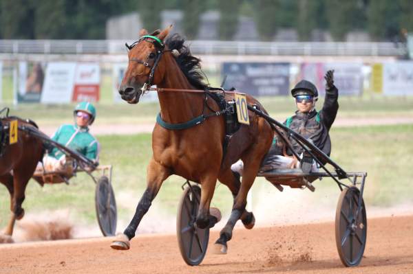 La photo de Hades De L'iton Arrivée Quinté+ Pmu Prix Du 150eme Anniversaire De La Societe Des Courses De Vire