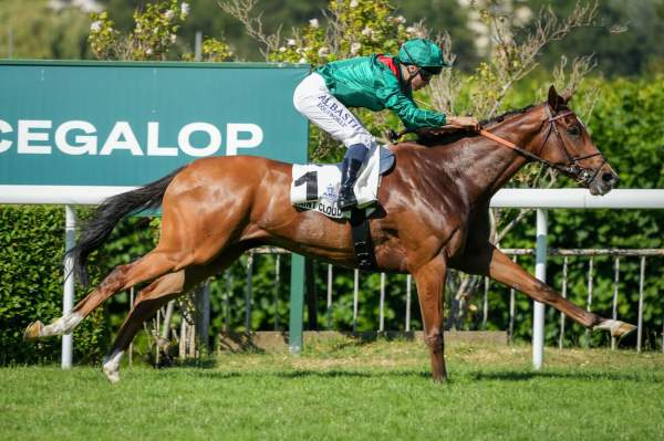 La photo de Calandagan arrivée du Grand-Prix de Saint-Cloud (Gr.1) hippodrome de Saint-Cloud