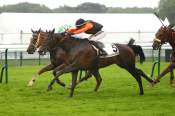 La photo de God Save The Queen arrivée pmu Prix de la Villa Hale à Longchamp