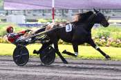 La photo de Lothbrock arrivée pmu Prix Sibylla à Vincennes