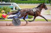 La photo de Muscle Dream arrivée pmu Prix de Bonne nouvelle à Enghien-Soisy