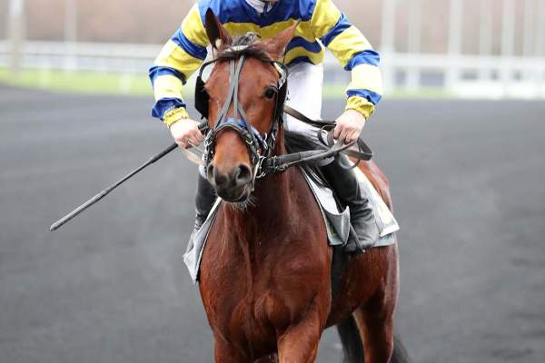 Photo de JIZUKE JIEL cheval de TROT MONTE