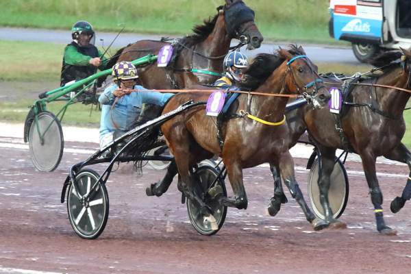 Photo de KELLE BELLE JASMA cheval de TROT ATTELE