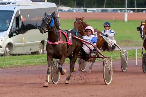 Photo de KAROLINE CADE cheval de TROT ATTELE