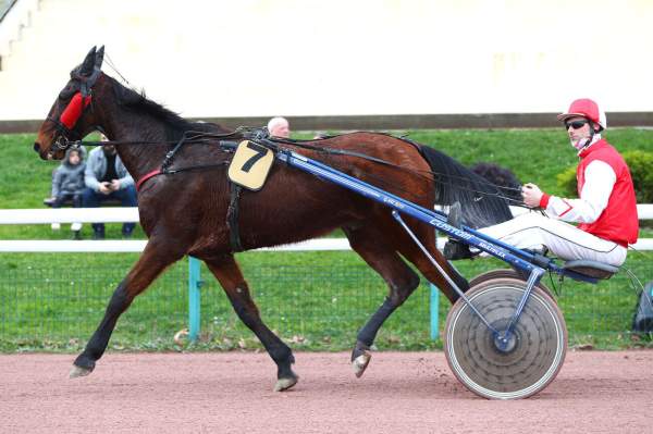 La photo de Garou Lionnais 