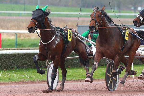 La photo de Love Dancer 