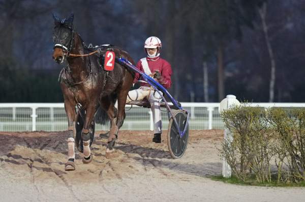 La photo de Musiko Cauvelliere 