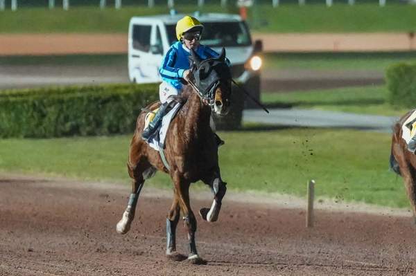 La photo de Marbella Chafs 