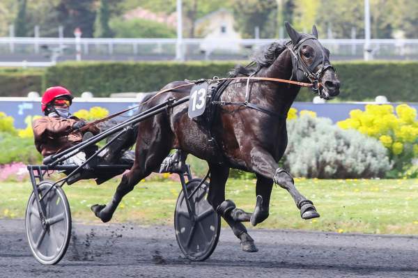 La photo de Maestro Vrie 