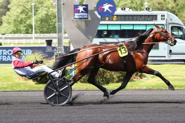 Photo de KOCTEL DU DAIN cheval de TROT ATTELE