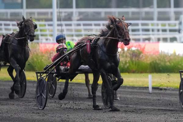 La photo de Kingston Du Bourg 