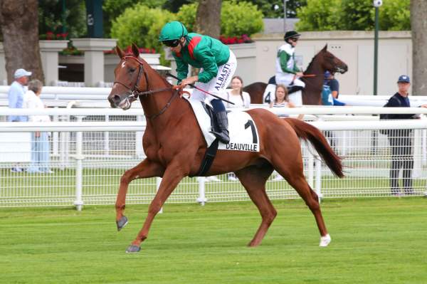 La photo de Rayif arrivée pmu Prix de Tancarville à Deauville