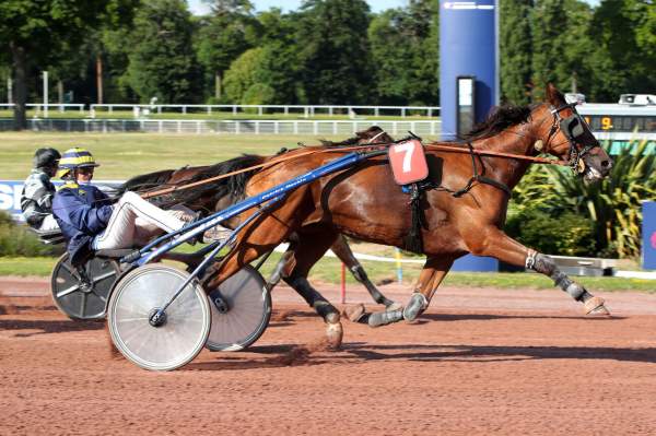 Photo de JADE DE NAVARY cheval de TROT ATTELE