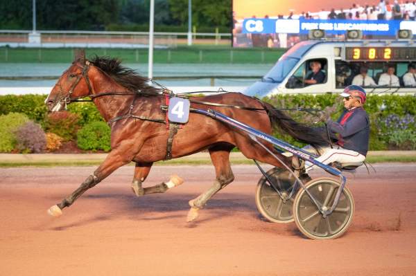 Photo de MESSAGE PERSONNEL cheval de TROT ATTELE