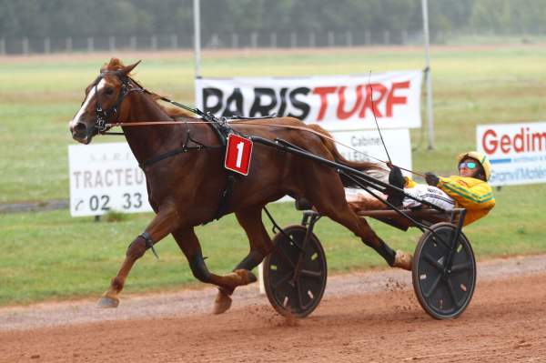 Photo de LADY DU CEDRE cheval de TROT ATTELE