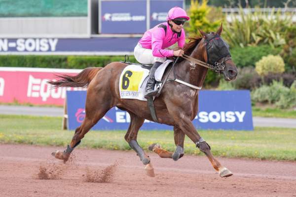 Photo de ICARE WILLIAMS cheval de TROT MONTE