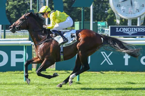 Photo de QUDDWAH cheval de PLAT