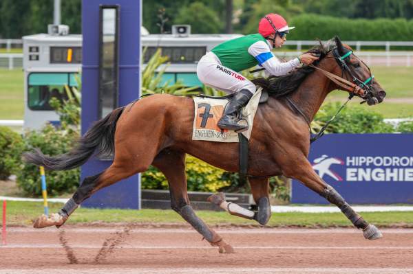 Photo de MAORI NUEVO cheval de TROT MONTE