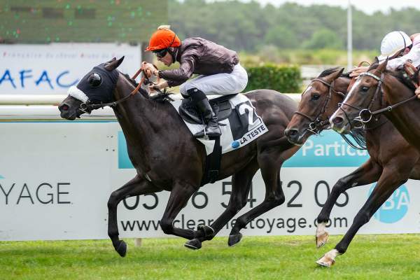 Photo de BANKHOVSKI cheval de PLAT