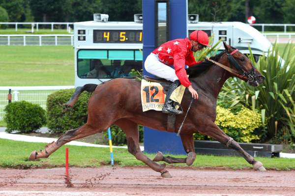 Photo de MADAME CHENU cheval de TROT MONTE
