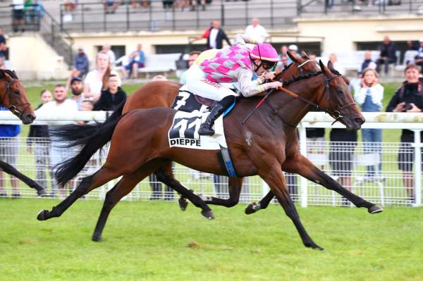 Photo de VENDOMYA cheval de PLAT